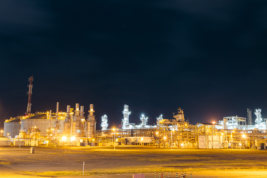 Plant-at-Night